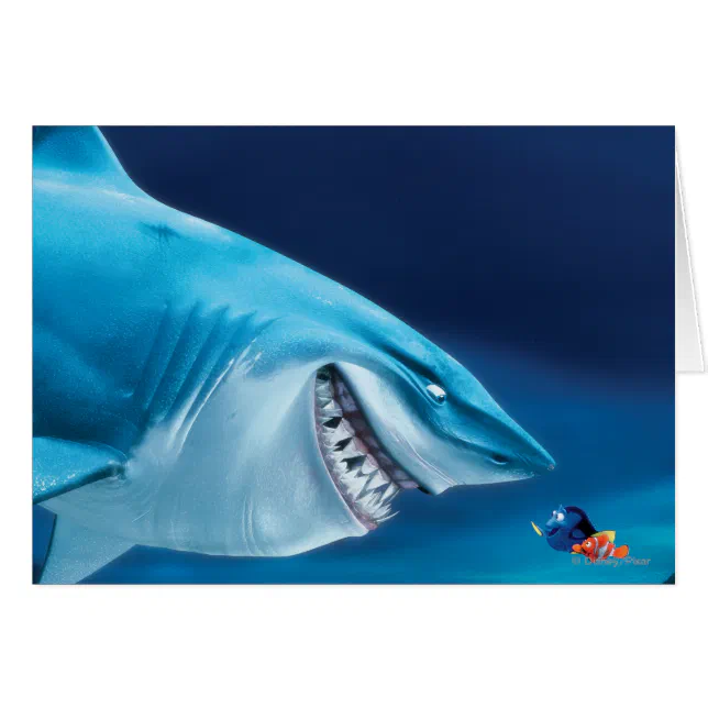 Bruce, Nemo and Dory 1 | Zazzle