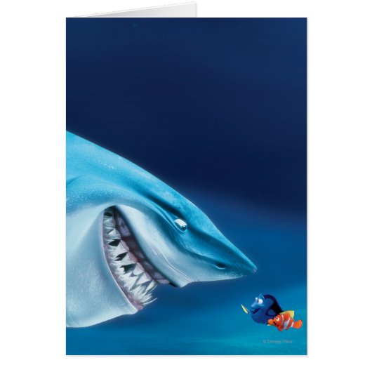 Bruce, Nemo and Dory 1 Cards (Front)