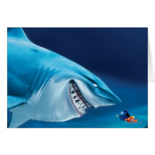 Bruce, Nemo and Dory 1 Cards
