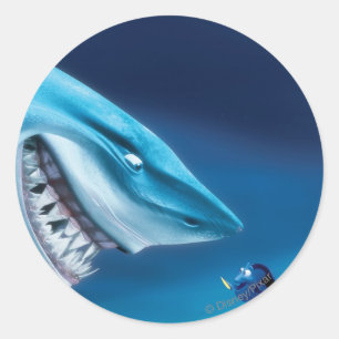 Bruce, Nemo and Dory 1 Classic Round Sticker