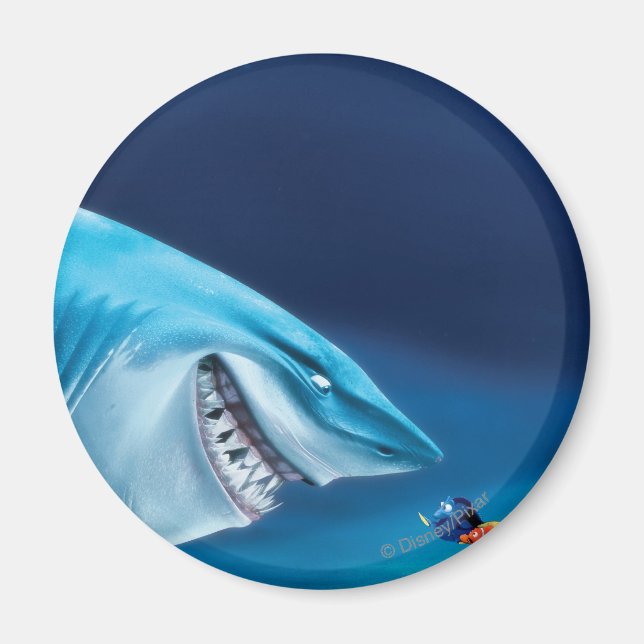 Bruce, Nemo and Dory 1 Magnet (Front)