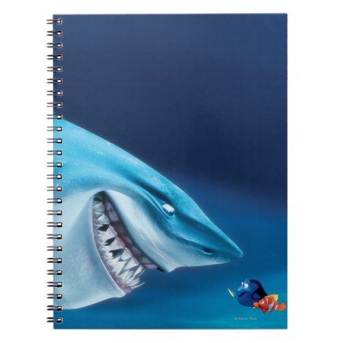 Bruce Nemo and Dory 1 Notebook