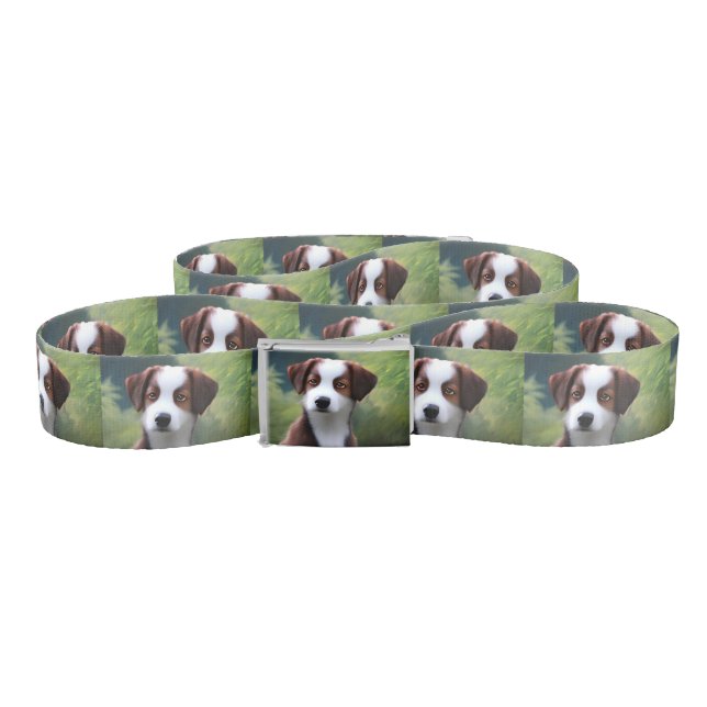 Bruce The Border Collie Puppy, Belt  (Zig-Zag)