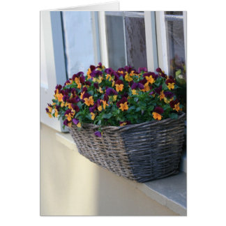 Bruges Beauty Cards