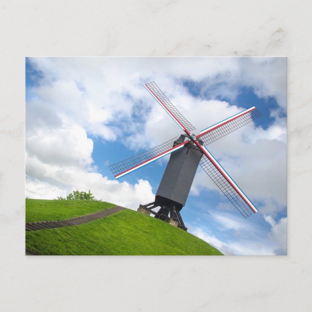 Brugge Windmill Postcard (Front)