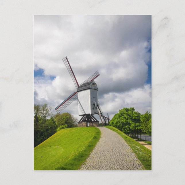 Brugge Windmill Postcard (Front)