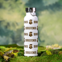 Bruin Mascot | Brown & Gold-School College Team