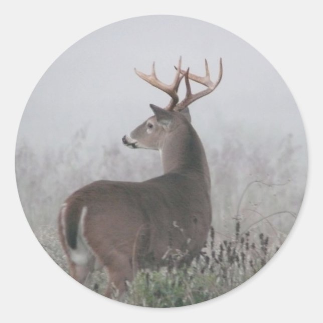 bruiser classic round sticker (Front)