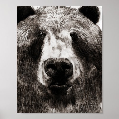 Brun the bear graphite drawing poster