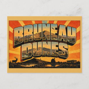 Bruneau Dunes Idaho Sand Dune Desert Lake Art Postcard