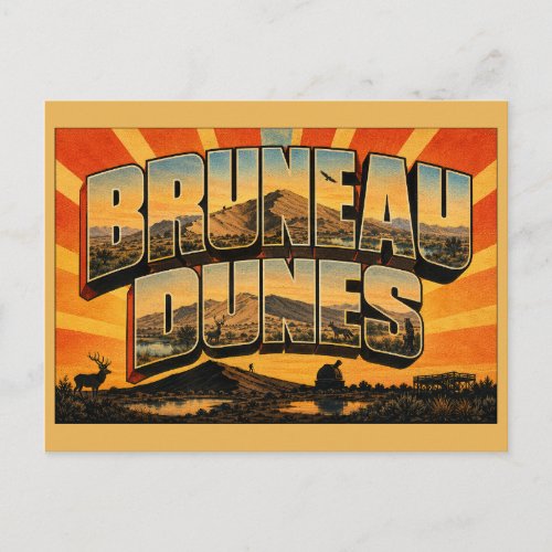 Bruneau Dunes Idaho Sand Dune Desert Lake Art Postcard