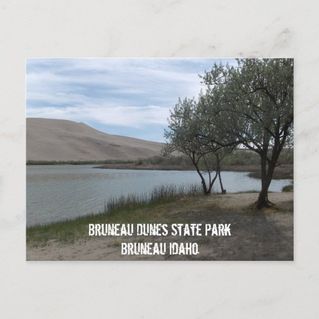 Bruneau Dunes State Park Postcard (Front)