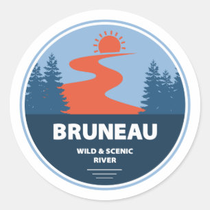 Bruneau Wild And Scenic River Idaho Classic Round Sticker