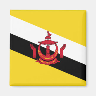 Brunei Flag Magnet