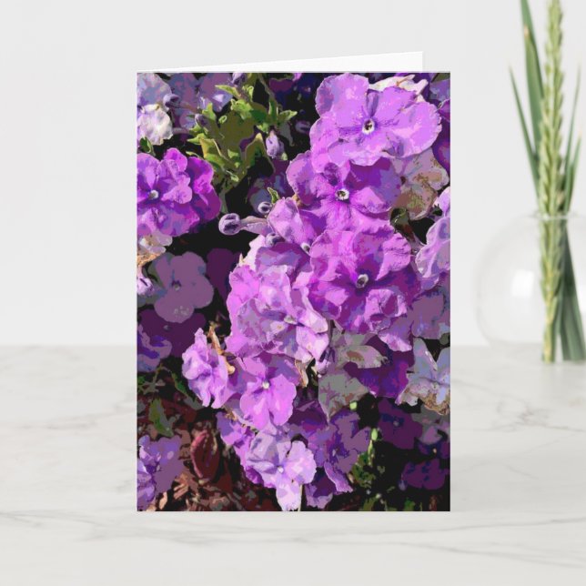 Brunfelsia Card (Front)