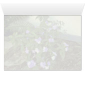 Brunfelsia Pauciflora Eximia (Yesterday, Today & T (Inside Horizontal (Bottom))