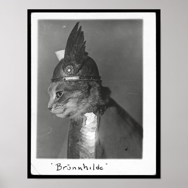 Brunhild Brunhilda Brynhild Brünhilde Cat Poster (Front)