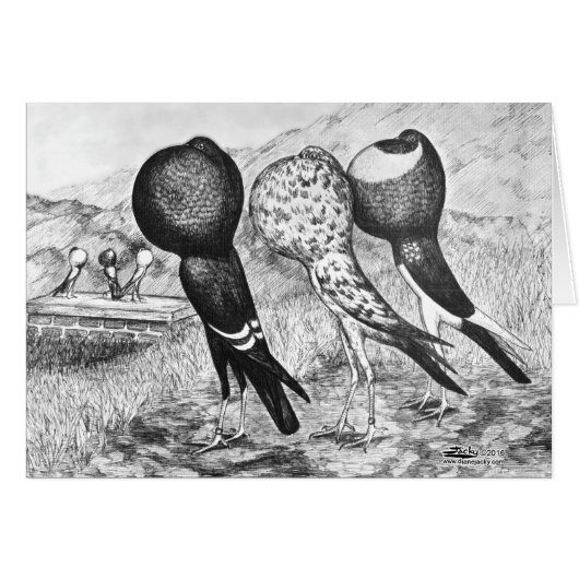 Brunner Pouter Pigeons Cards (Front Horizontal)