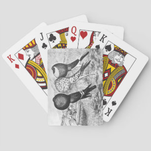 Brunner Pouter Pigeons Poker Cards