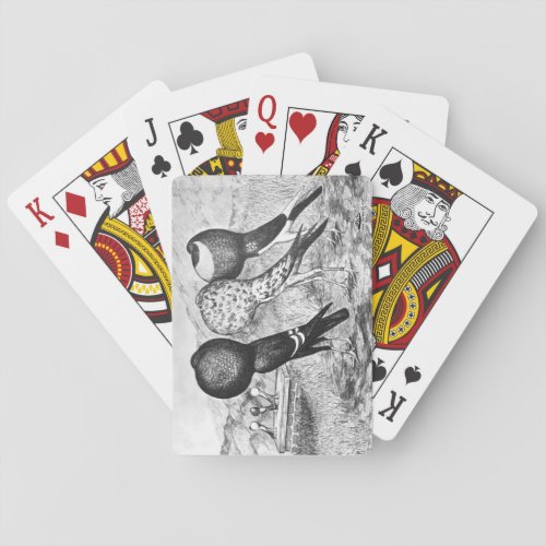 Brunner Pouter Pigeons Poker Cards