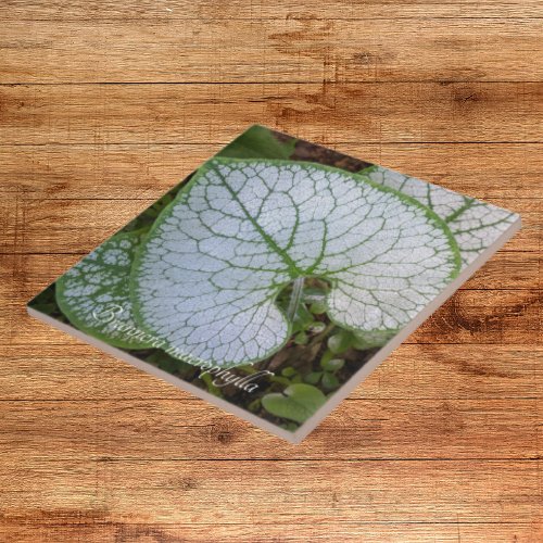 Brunnera Macrophylla Plant Leaf Floral Ceramic Tile