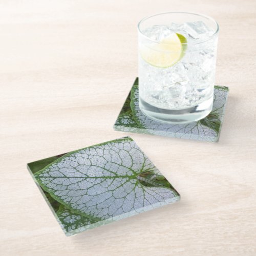 Brunnera Macrophylla Plant Leaf Floral Glass Coaster