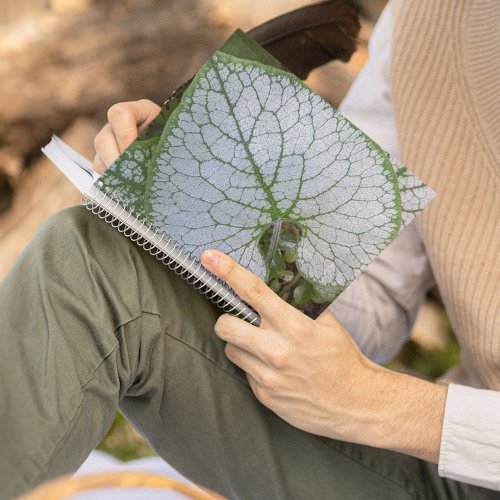 Brunnera Macrophylla Plant Leaf Floral Notebook