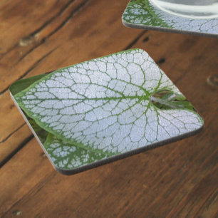 Brunnera Macrophyllum Plant Leaf Floral Beverage Coaster