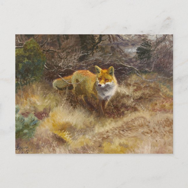 Bruno Liljefors - Fox and Landscape Postcard (Front)