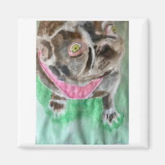Bruno the bulldog magnet
