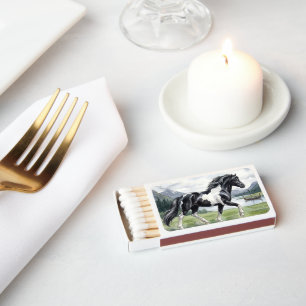 Brunskjottur Black pinto Icelandic Matchboxes
