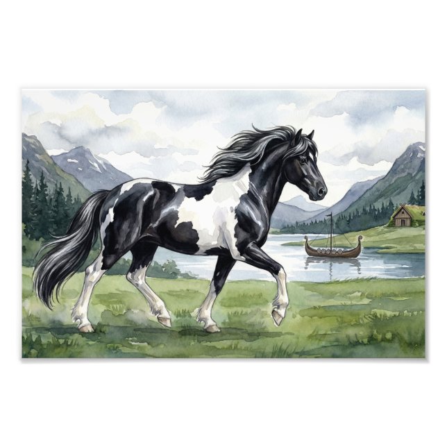 Brunskjottur Black pinto Icelandic Photo Print (Front)