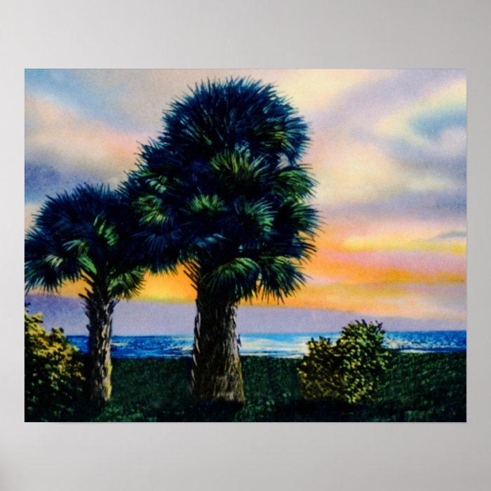 Brunswick Georgia Sunset Along Coast Print