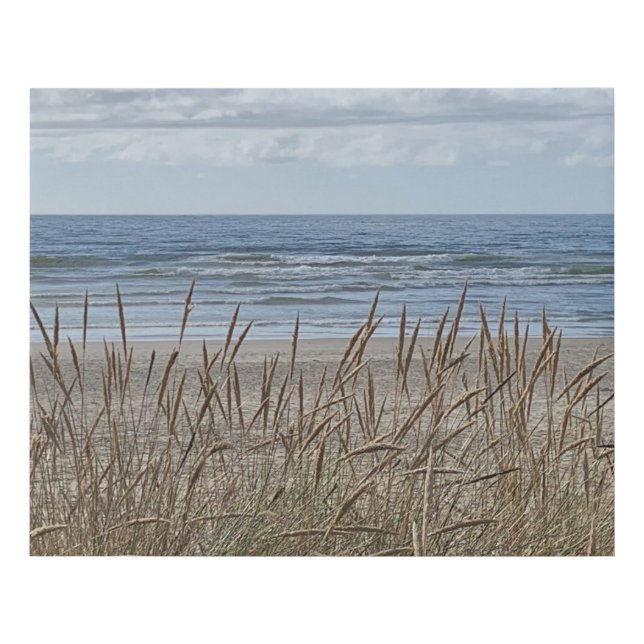 Brush at the Ocean Canvas Art (Front)