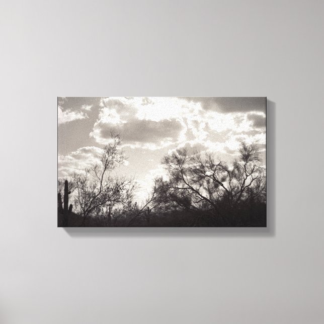 Brush Backlight Sonoran Desert B&W Photo Art Print (Front)