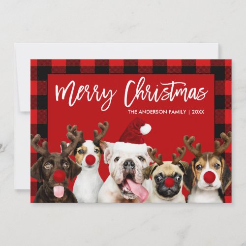 Brush Script Merry Christmas Dogs Red Plaid Holiday Card