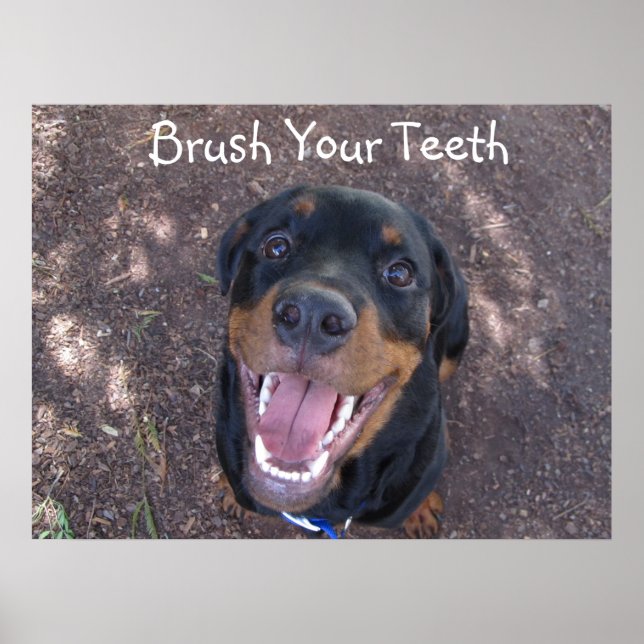 Brush Your Teeth Rottweiler Puppy Poster (Front)