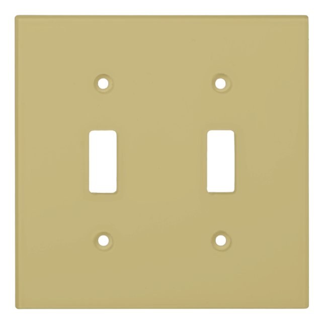 Brushed Gold Light Switch Cover (Front)