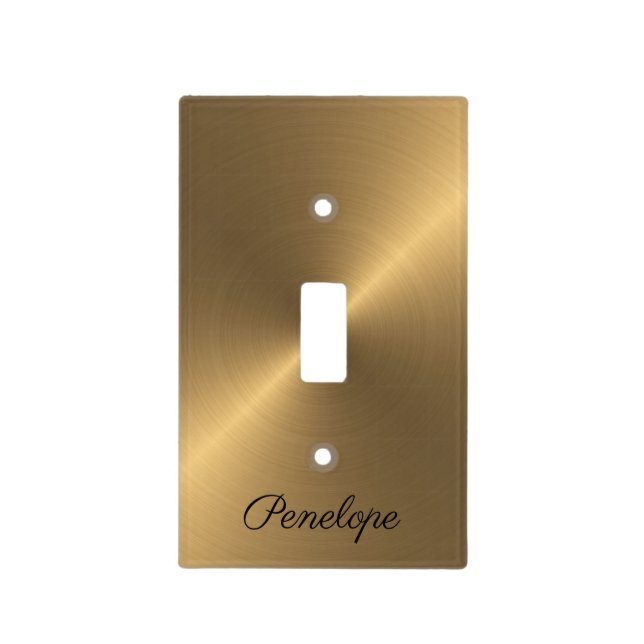 Brushed Texture Light Switch Cover (Front)