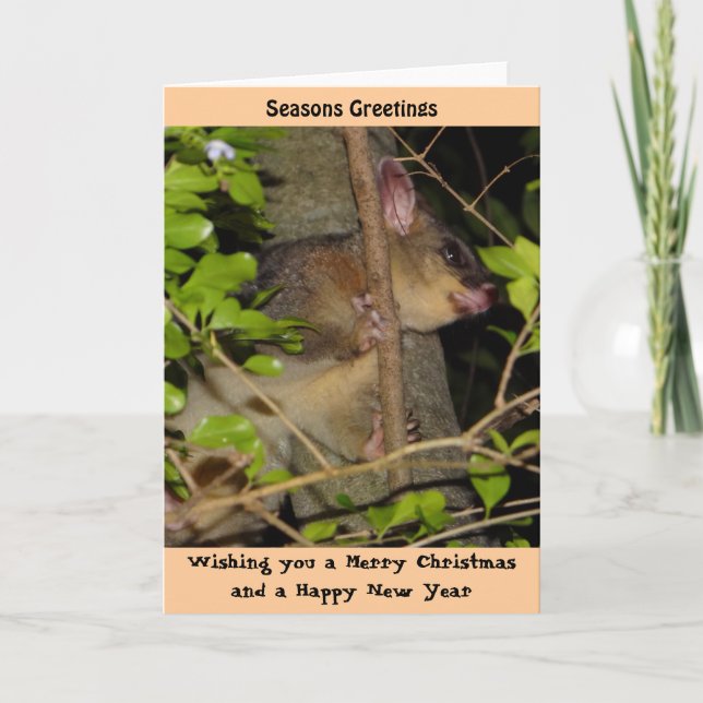 Brushtail Possum Xmas Card (Front)