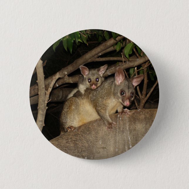 Brushtail Possums Button (Front)