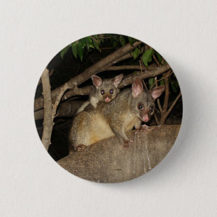 Brushtail Possums Button