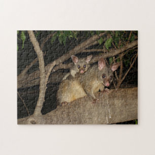 Brushtail Possums Jigsaw Puzzle