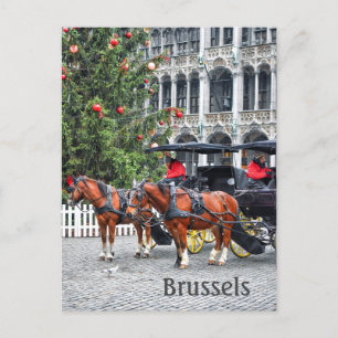 Brussels Belgium Christmas photo Postcard