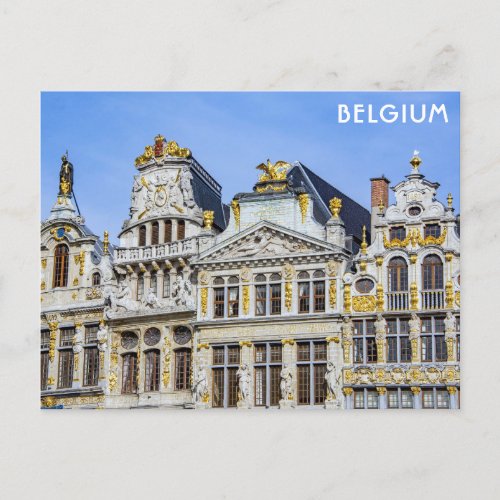 Brussels Belgium Grand Place Travel Photo Postcard