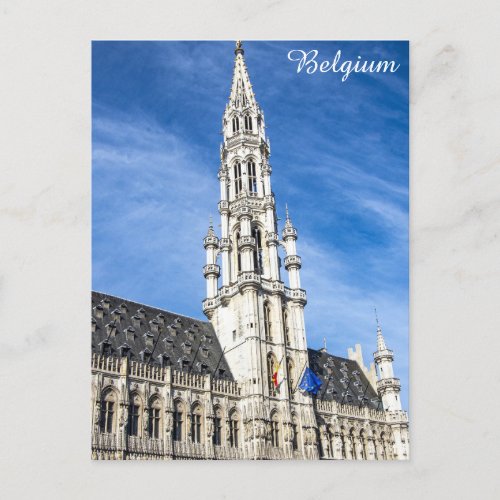 Brussels Belgium Grand Place Travel Photo Postcard