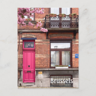 Brussels Belgium pink doors Postcard