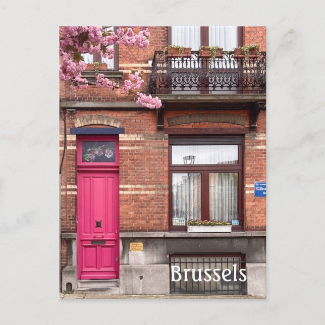 Brussels Belgium pink doors Postcard (Front)