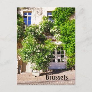 Brussels Belgium street photo Postcard