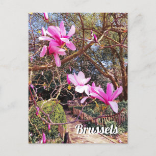 Brussels Belgium travel photo Postcard